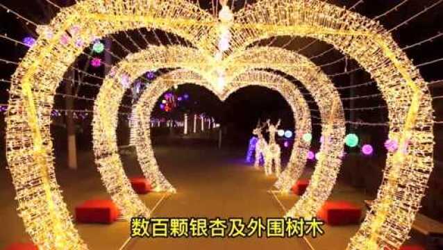 只“灯”你来!木林镇点“靓”彩灯迎新春