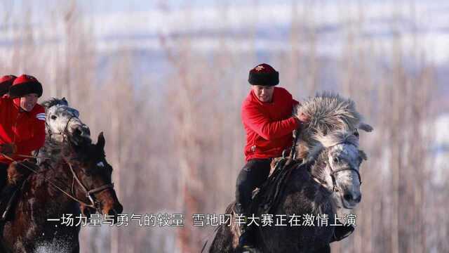 马背上的“速度与激情”