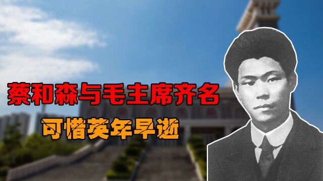 蔡和森与毛主席齐名,党内地位一度高于毛主席,可惜英年早逝