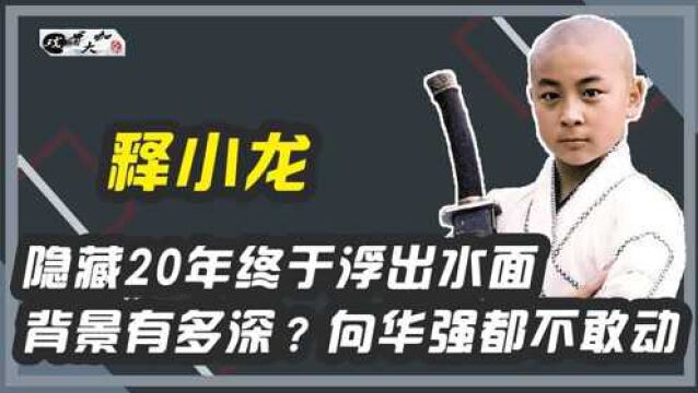 释小龙背景有多深?隐藏20年终于浮出水面,向华强都不敢动他!