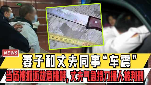 妻子和丈夫同事“车震”,当场被抓还故意挑衅,丈夫气急持刀捅人被判刑