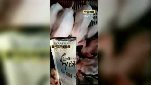 【精】黑龙江望奎：【对比】35头仅剩14头 幸存小猪喂了命脉1号猪奶粉2022.1.8