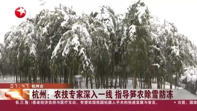 杭州:农技专家深入一线 指导笋农除雪防冻