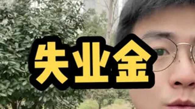 我终于领到失业金了,人人都有机会拿#社保