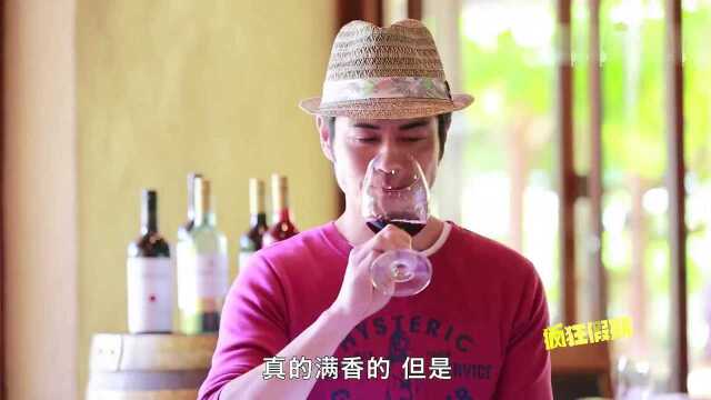 疯狂假期高光片段