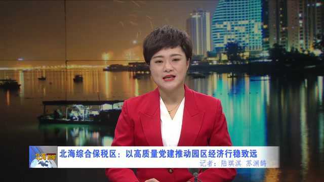 北海综合保税区:以高质量党建推动园区经济行稳致远