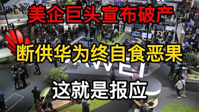 断供华为后果显现,美企两大巨头宣布停产!自负变为“自缚”!