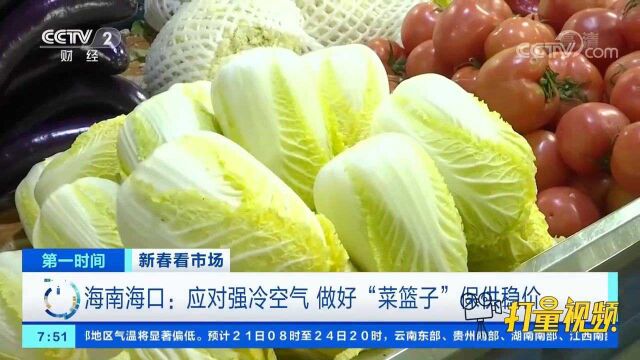 海南海口:应对强冷空气,做好“菜篮子”保供稳价