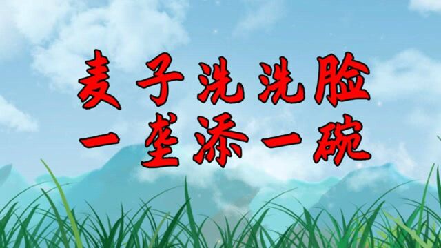 俗语“麦子洗洗脸,一垄添一碗”,你知道是啥意思吗?