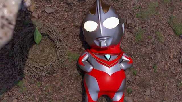 幼年时期的奥特曼胖嘟嘟的,小迪迦和小盖亚萌翻了