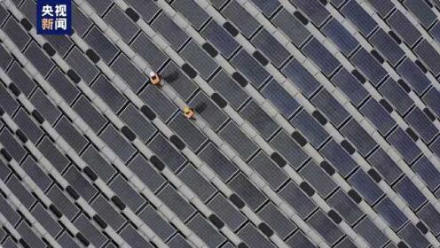 中国暖流｜发电板也“兼职” 看看光伏农场里都有啥？