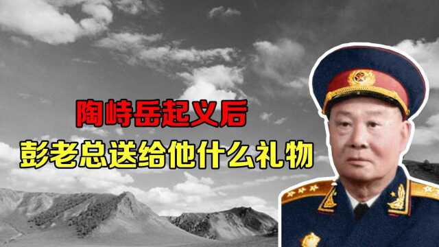 陶峙岳起义后,彭老总送给他一个礼物,陶峙岳热泪盈眶