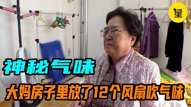 大妈在房子里放了22个风扇连轴吹,因为她说有人给她放毒气.