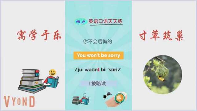 英语学习 | 英语口语天天练T84 “sorry”不只是“对不起” | English learning