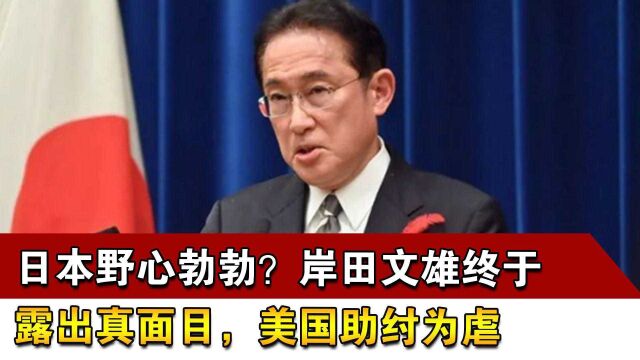 日本野心勃勃?岸田文雄终于露出真面目,美国助纣为虐