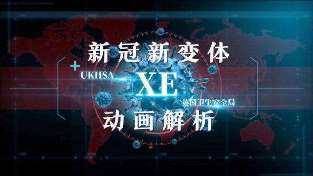 动画解析“新冠新变体XE”:传播更快?毒性更强?耐受性更高?