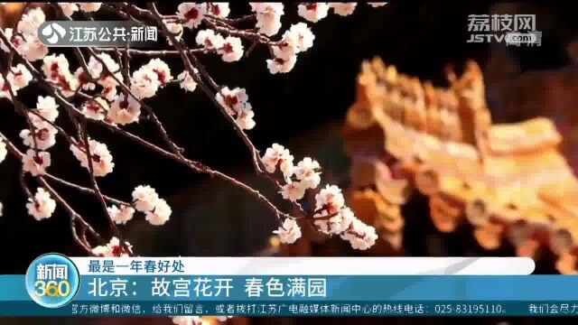 最是一年春好处 北京:故宫花开 春色满园