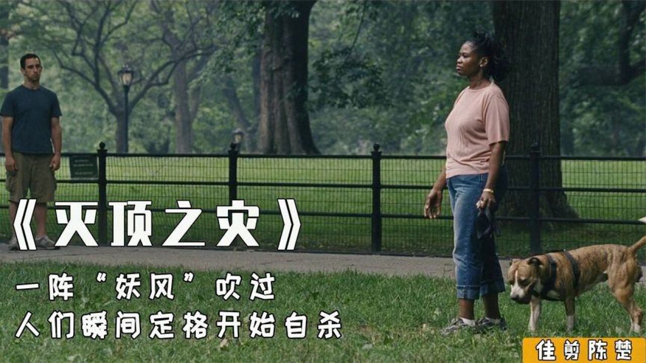 脑洞超大的灾难片,一阵"妖风"吹过,人们瞬间定格开始自杀