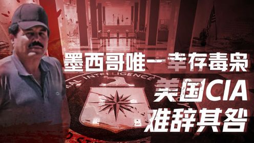 [图]【卢克文工作室】墨西哥往事2（六）：史上最低调老大，毒枭嚣张美国居功至伟