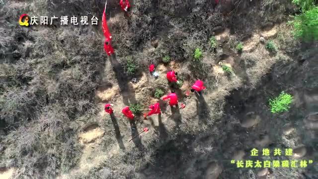 长庆油田采油十一厂在庆城开展春季义务植树活动