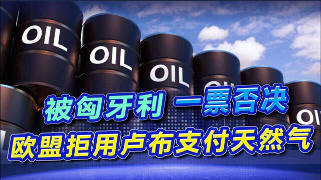 想抱团对抗俄罗斯能源,匈牙利公然与欧盟对着干,力挺用卢布结算