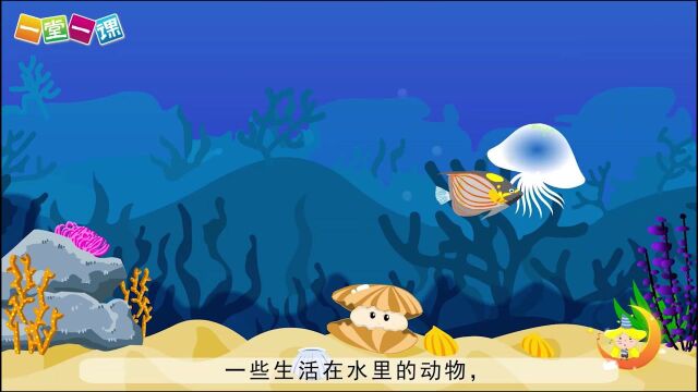 二年级下册《“贝”的故事》小学语文同步精品课文动画,预习教辅视频,学习好帮手!(一堂一课APP出品)