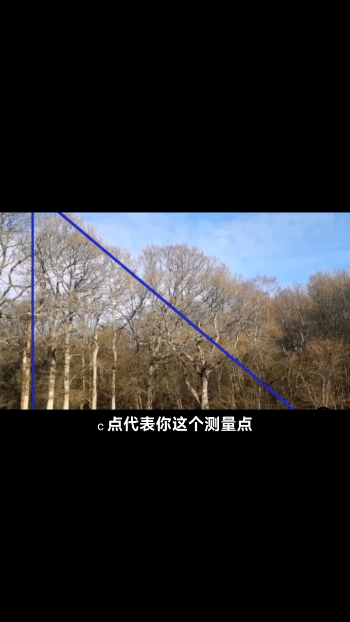 怎样测量树的高度呢_高清1080P在线观看平台_腾讯视频