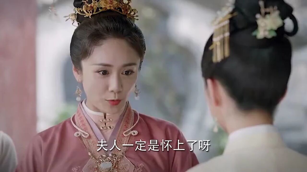 十一娘怀孕,众姨娘羡慕,这次终于体面了