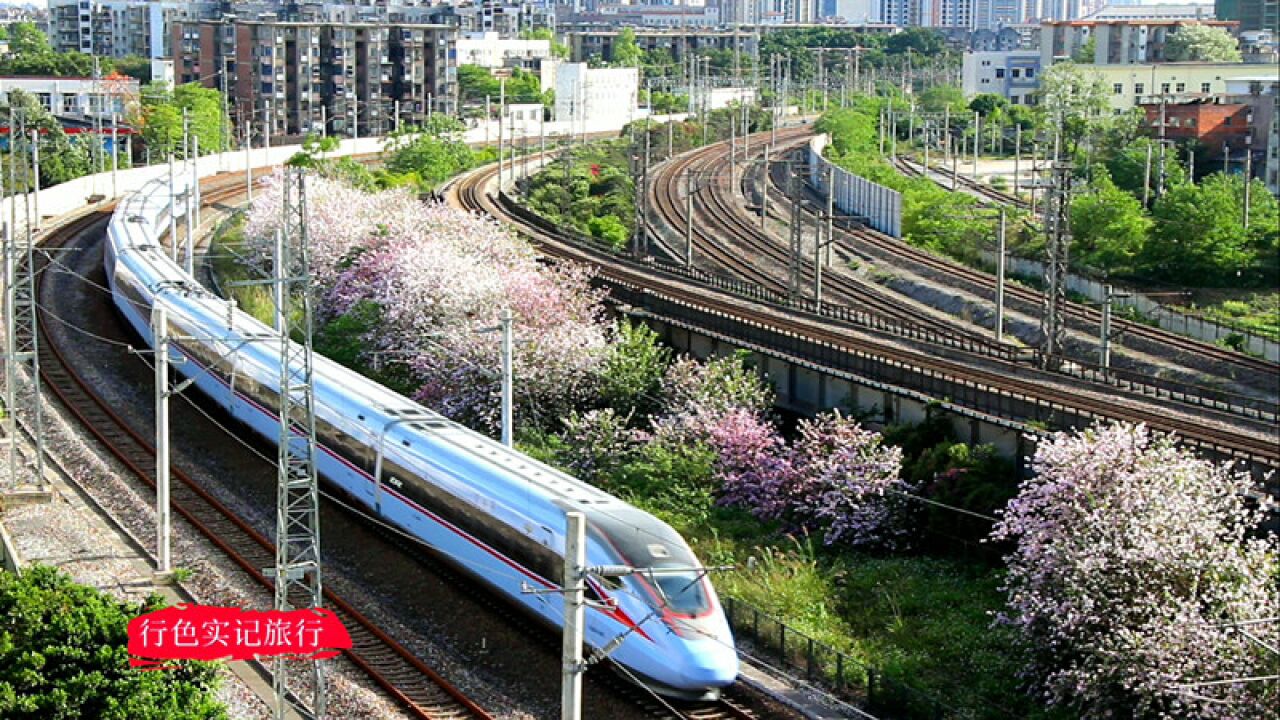柳州广雅大桥,实拍蓝色复兴号高铁动车和谐号交汇,一片繁忙景象