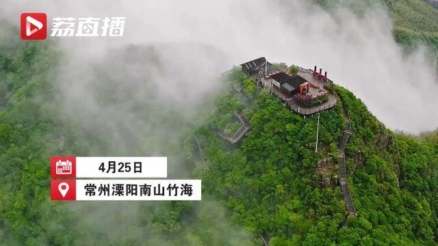 如梦如幻!雨后的常州南山竹海云雾缭绕似仙境