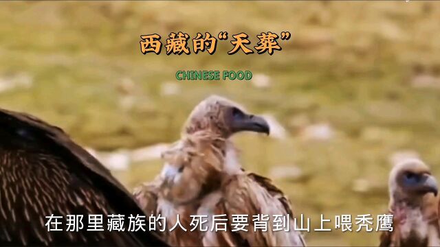 西藏的“天葬”死后让老鹰啄食,这样的习俗你怎么看?