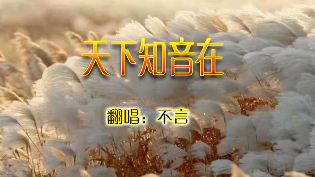 為你唱歌:天下知音在