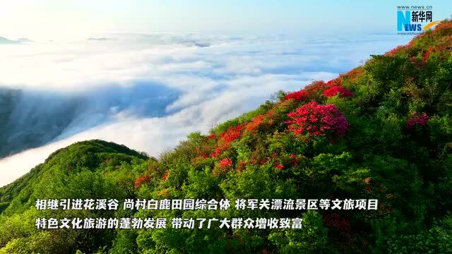 新华网关注!宣城这里高山流云,岭上花红!