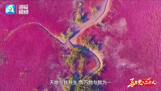 和合共生 永续发展