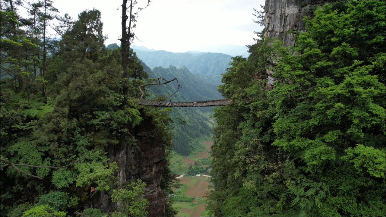 贵州深山独木桥图片