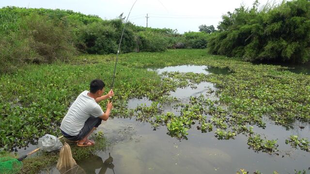 小伙偷偷用20斤黄螺打窝,2天后开钓被吓一跳,上钩的全是大货