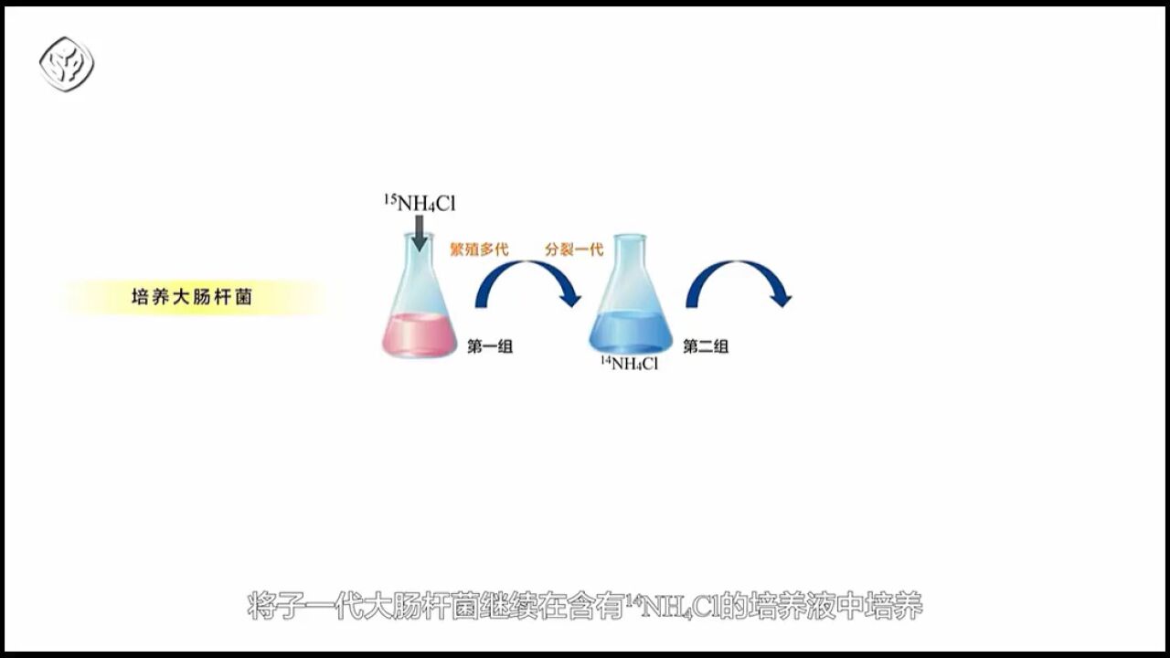 证明DNA半保留复制的实验(新教材)_高清1080P在线观看平台_腾讯视频