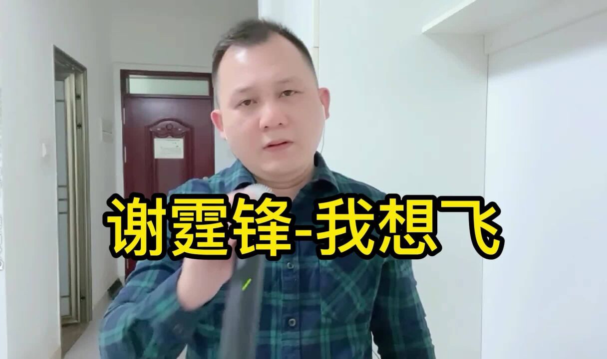 谢霆锋-我想飞