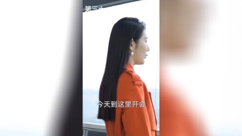 [图]天降极品豪婿(31)