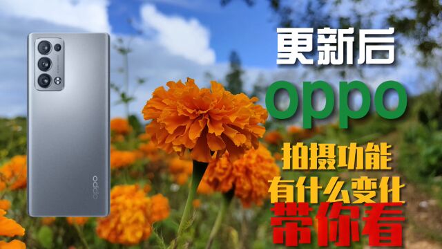 oppo手机系统更新后,拍摄操作界面有什么变化,带你详细了解教程