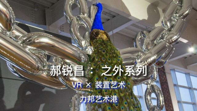 艺术家郝锐昌VR*装置作品《之外系列》登录力邦艺术港