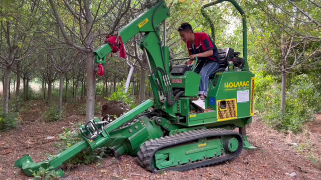 挖树机挖树