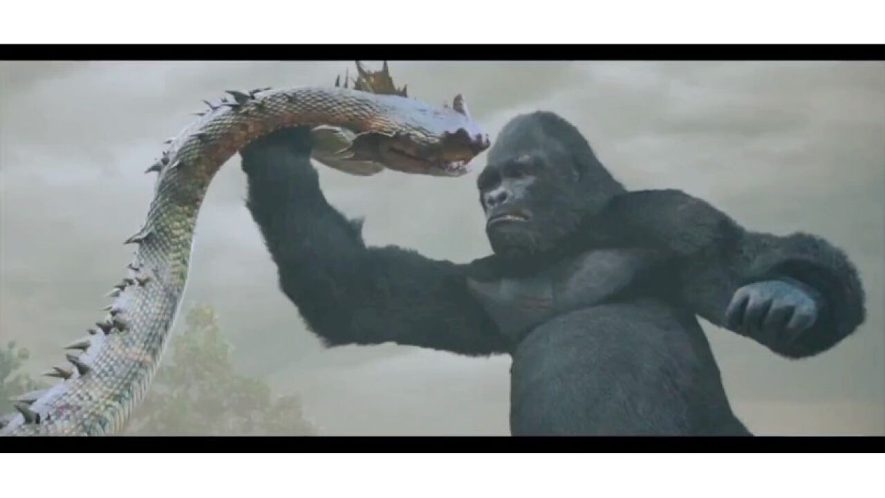 大金刚鏖战双头蛇,看看谁才是岛上的霸主.