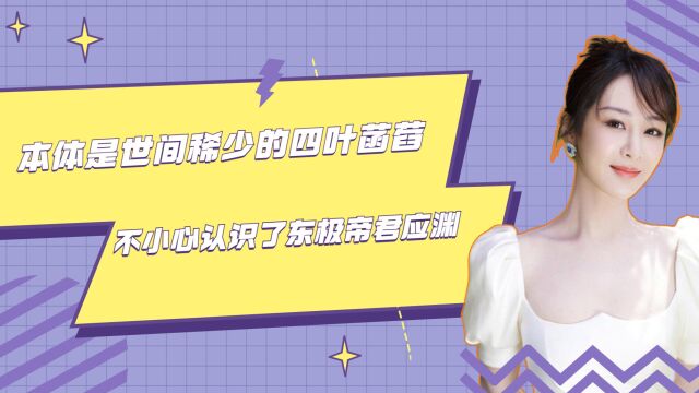 本体是世间稀少的四叶菡萏,不小心认识了东极帝君应渊