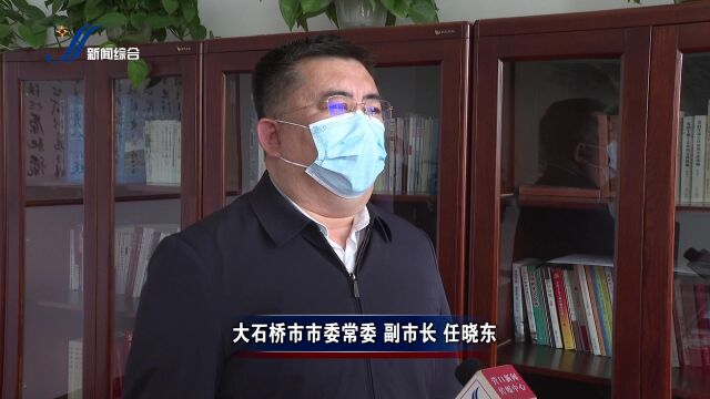 大石桥市:项目为王 助力企业“加速跑”