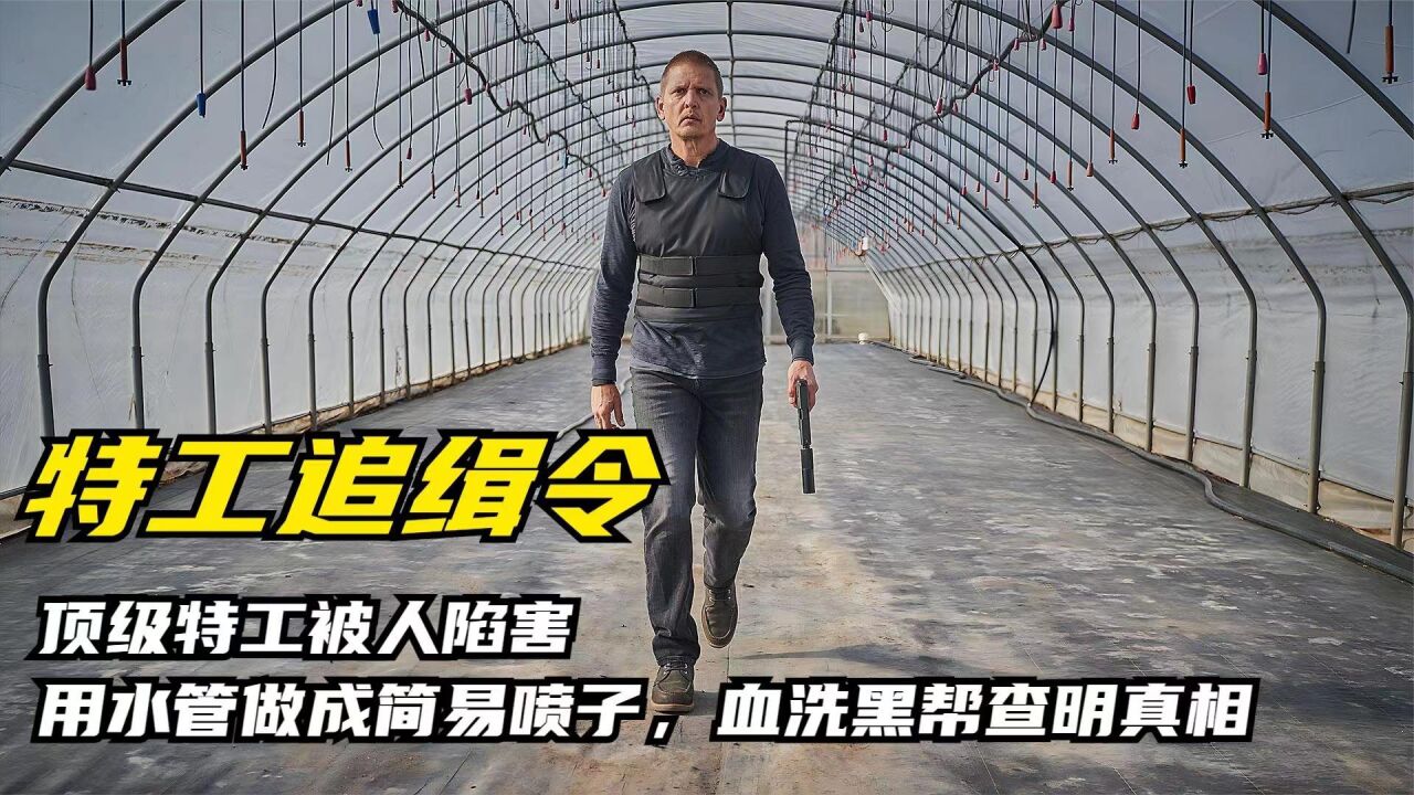 《特工追缉令》动作片,顶级特工失忆被人陷害,踏上道路查明真相