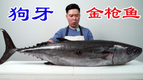 花几千块钱买一条52斤的狗牙金枪鱼，居然被骗了