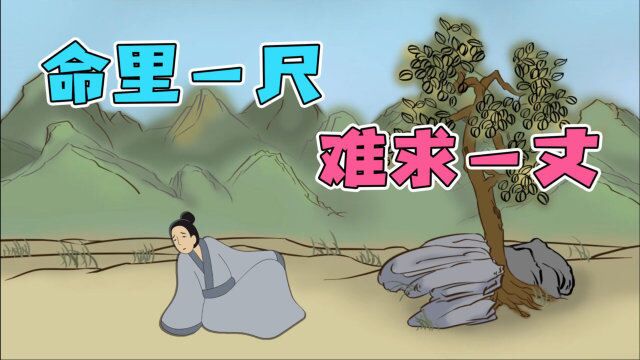 俗语“命里一尺,难求一丈”啥意思?万般不由人,一切顺意则好!