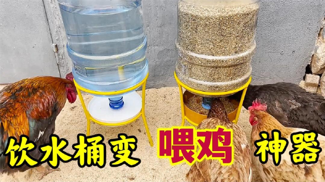 退休发明家设计"喂鸡神器",学会后鸡吃喝不愁,你也吃喝也不愁!