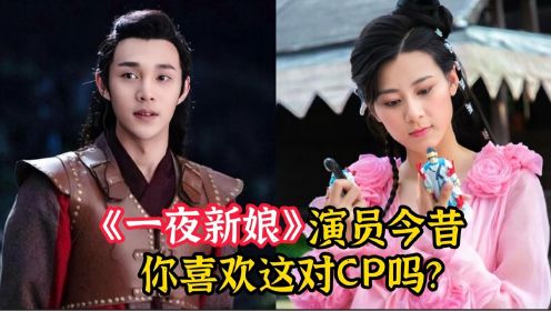 《一夜新娘》演员今昔，袁昊，赵昭仪欢喜冤家，你喜欢这对CP吗？
